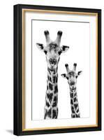 Safari Profile Collection - Portrait of Giraffe and Baby White Edition IV-Philippe Hugonnard-Framed Photographic Print