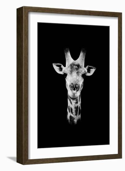 Safari Profile Collection - Portrait of Giraffe Black Edition II-Philippe Hugonnard-Framed Photographic Print