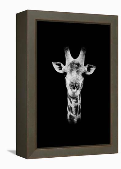 Safari Profile Collection - Portrait of Giraffe Black Edition II-Philippe Hugonnard-Framed Premier Image Canvas