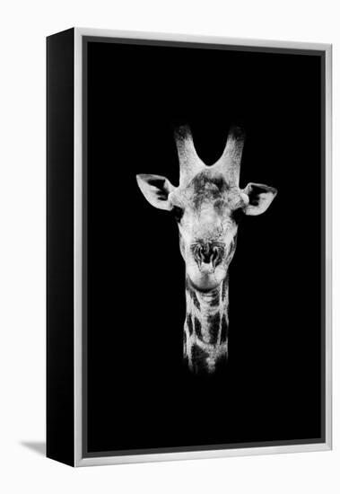 Safari Profile Collection - Portrait of Giraffe Black Edition II-Philippe Hugonnard-Framed Premier Image Canvas