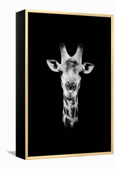 Safari Profile Collection - Portrait of Giraffe Black Edition II-Philippe Hugonnard-Framed Premier Image Canvas