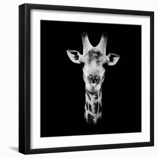 Safari Profile Collection - Portrait of Giraffe Black Edition IV-Philippe Hugonnard-Framed Photographic Print