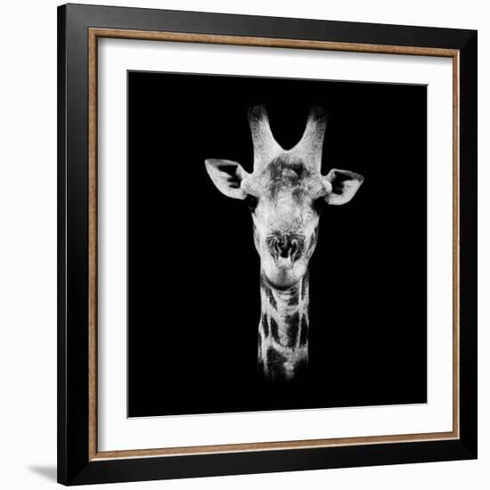 Safari Profile Collection - Portrait of Giraffe Black Edition IV-Philippe Hugonnard-Framed Photographic Print