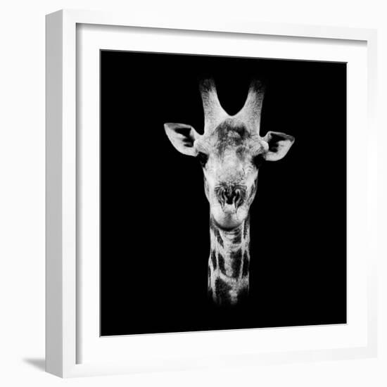 Safari Profile Collection - Portrait of Giraffe Black Edition IV-Philippe Hugonnard-Framed Photographic Print