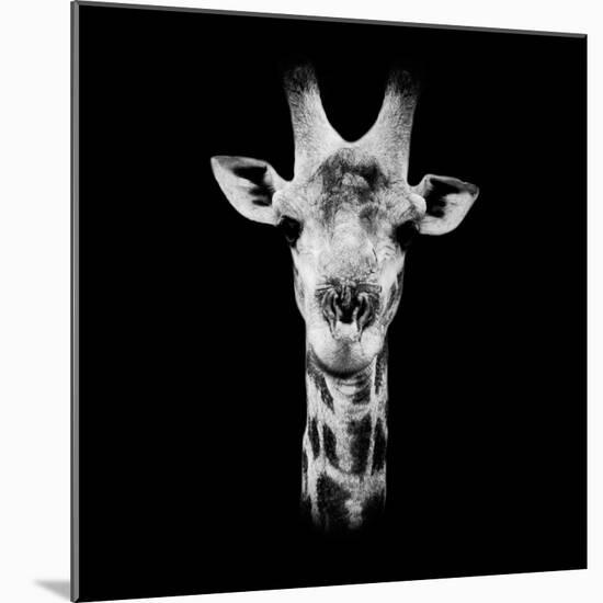 Safari Profile Collection - Portrait of Giraffe Black Edition IV-Philippe Hugonnard-Mounted Photographic Print
