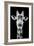 Safari Profile Collection - Portrait of Giraffe Black Edition V-Philippe Hugonnard-Framed Photographic Print