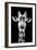 Safari Profile Collection - Portrait of Giraffe Black Edition V-Philippe Hugonnard-Framed Photographic Print