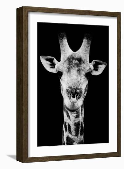 Safari Profile Collection - Portrait of Giraffe Black Edition V-Philippe Hugonnard-Framed Photographic Print