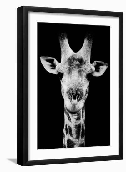 Safari Profile Collection - Portrait of Giraffe Black Edition V-Philippe Hugonnard-Framed Photographic Print