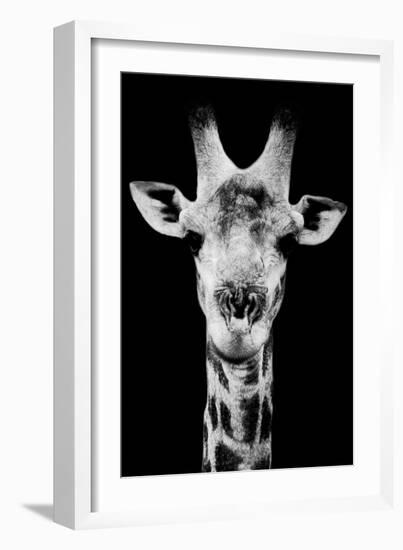 Safari Profile Collection - Portrait of Giraffe Black Edition V-Philippe Hugonnard-Framed Photographic Print