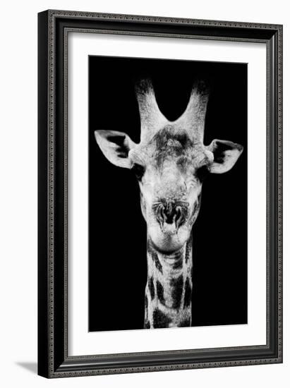 Safari Profile Collection - Portrait of Giraffe Black Edition V-Philippe Hugonnard-Framed Photographic Print