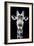 Safari Profile Collection - Portrait of Giraffe Black Edition V-Philippe Hugonnard-Framed Photographic Print