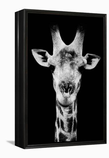 Safari Profile Collection - Portrait of Giraffe Black Edition V-Philippe Hugonnard-Framed Premier Image Canvas