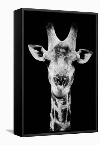 Safari Profile Collection - Portrait of Giraffe Black Edition V-Philippe Hugonnard-Framed Premier Image Canvas