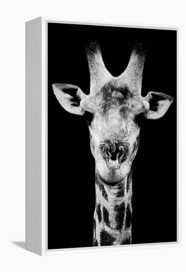 Safari Profile Collection - Portrait of Giraffe Black Edition V-Philippe Hugonnard-Framed Premier Image Canvas