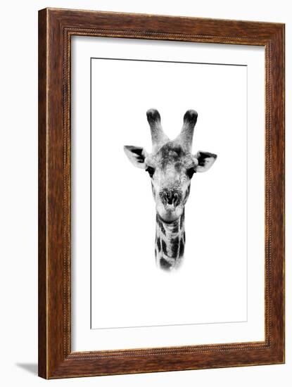 Safari Profile Collection - Portrait of Giraffe White Edition II-Philippe Hugonnard-Framed Photographic Print