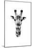 Safari Profile Collection - Portrait of Giraffe White Edition II-Philippe Hugonnard-Mounted Photographic Print