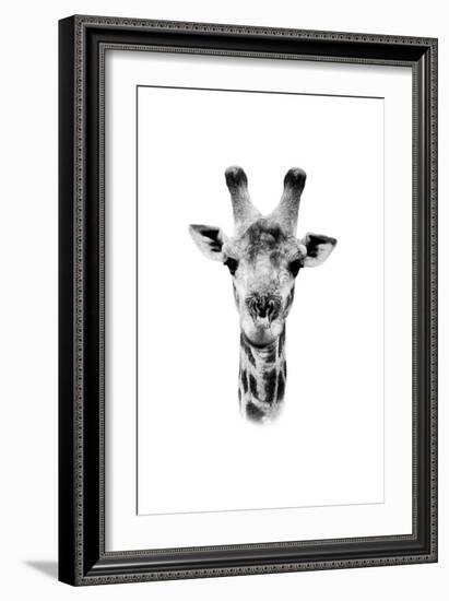 Safari Profile Collection - Portrait of Giraffe White Edition II-Philippe Hugonnard-Framed Photographic Print