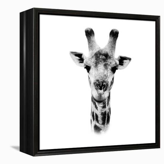 Safari Profile Collection - Portrait of Giraffe White Edition IV-Philippe Hugonnard-Framed Premier Image Canvas