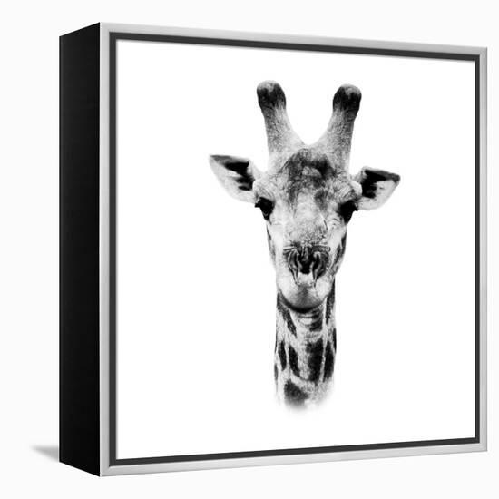 Safari Profile Collection - Portrait of Giraffe White Edition IV-Philippe Hugonnard-Framed Premier Image Canvas