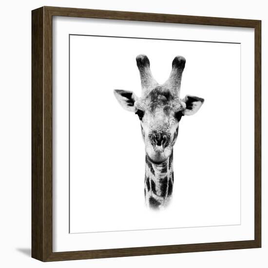 Safari Profile Collection - Portrait of Giraffe White Edition IV-Philippe Hugonnard-Framed Photographic Print