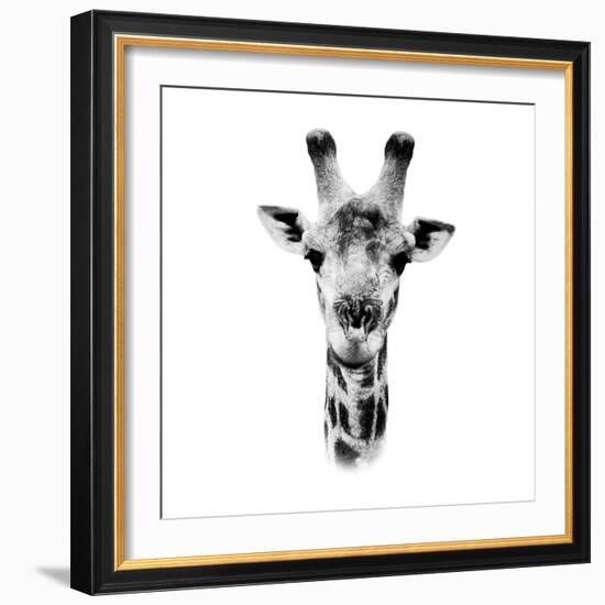 Safari Profile Collection - Portrait of Giraffe White Edition IV-Philippe Hugonnard-Framed Photographic Print