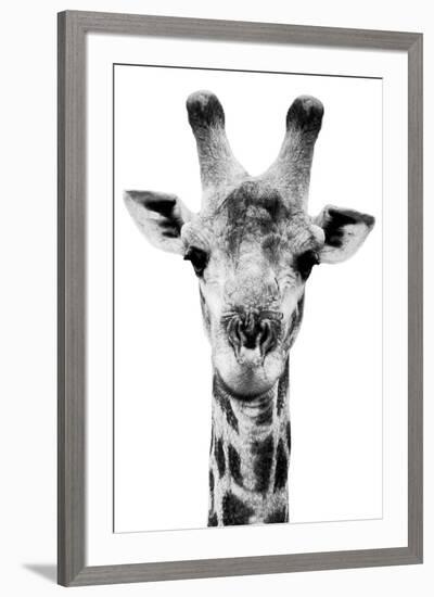 Safari Profile Collection - Portrait of Giraffe White Edition V-Philippe Hugonnard-Framed Photographic Print