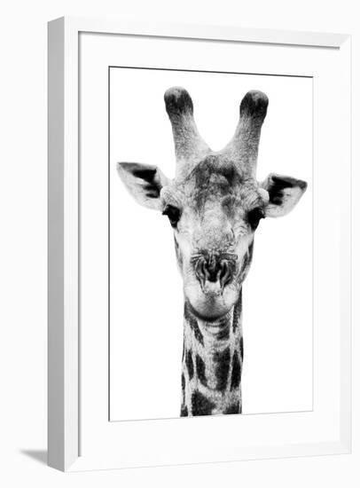 Safari Profile Collection - Portrait of Giraffe White Edition V-Philippe Hugonnard-Framed Photographic Print