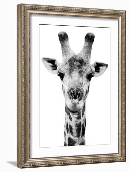 Safari Profile Collection - Portrait of Giraffe White Edition V-Philippe Hugonnard-Framed Photographic Print