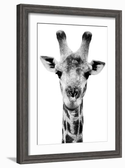 Safari Profile Collection - Portrait of Giraffe White Edition V-Philippe Hugonnard-Framed Photographic Print