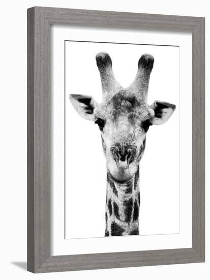 Safari Profile Collection - Portrait of Giraffe White Edition V-Philippe Hugonnard-Framed Photographic Print