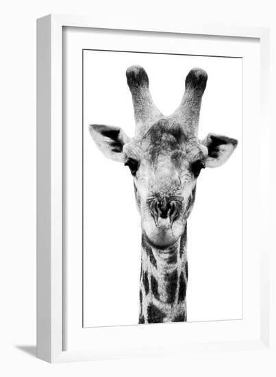 Safari Profile Collection - Portrait of Giraffe White Edition V-Philippe Hugonnard-Framed Photographic Print