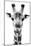 Safari Profile Collection - Portrait of Giraffe White Edition V-Philippe Hugonnard-Mounted Photographic Print