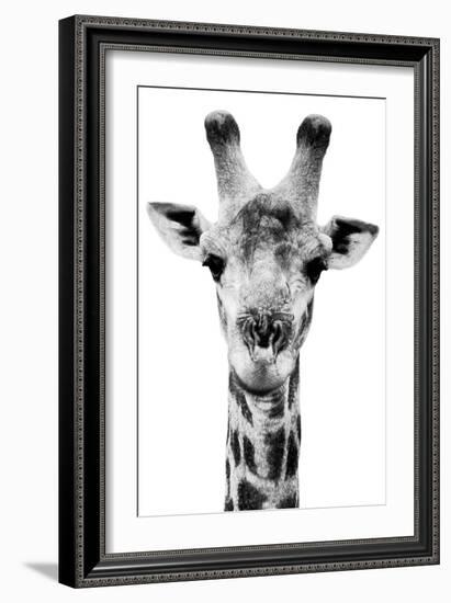 Safari Profile Collection - Portrait of Giraffe White Edition V-Philippe Hugonnard-Framed Photographic Print