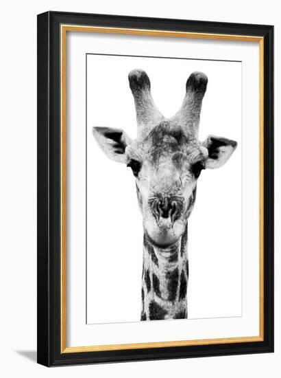 Safari Profile Collection - Portrait of Giraffe White Edition V-Philippe Hugonnard-Framed Photographic Print