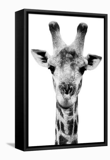 Safari Profile Collection - Portrait of Giraffe White Edition V-Philippe Hugonnard-Framed Premier Image Canvas