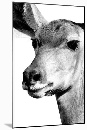 Safari Profile Collection - Portrait of Impala White Edition-Philippe Hugonnard-Mounted Photographic Print