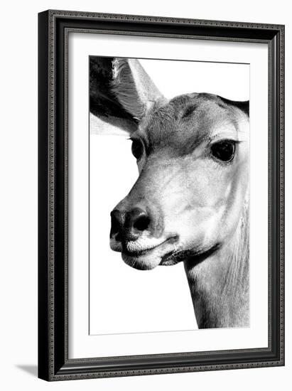 Safari Profile Collection - Portrait of Impala White Edition-Philippe Hugonnard-Framed Photographic Print