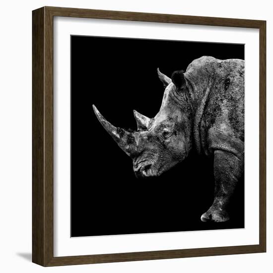 Safari Profile Collection - Rhino Black Edition II-Philippe Hugonnard-Framed Photographic Print