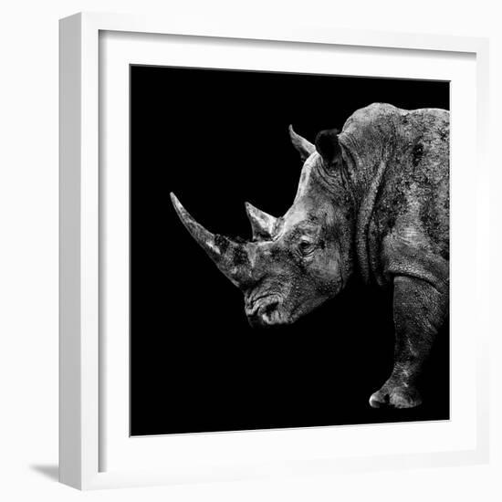 Safari Profile Collection - Rhino Black Edition II-Philippe Hugonnard-Framed Photographic Print