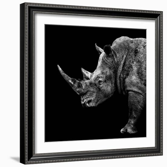 Safari Profile Collection - Rhino Black Edition II-Philippe Hugonnard-Framed Photographic Print