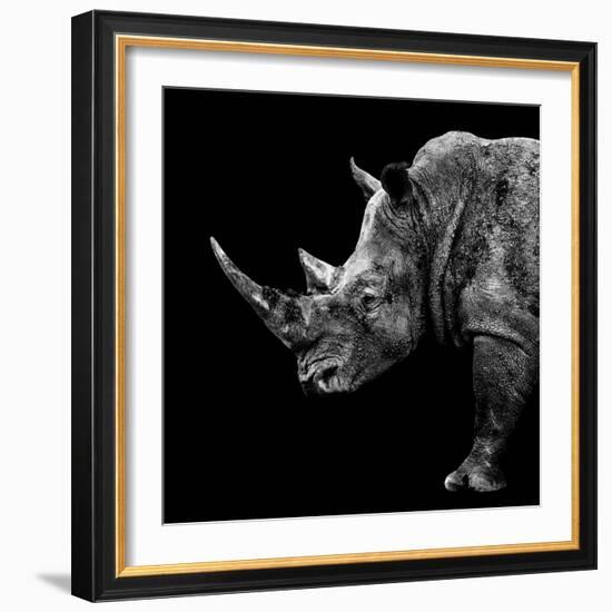 Safari Profile Collection - Rhino Black Edition II-Philippe Hugonnard-Framed Photographic Print