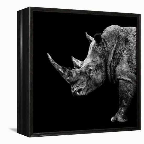 Safari Profile Collection - Rhino Black Edition II-Philippe Hugonnard-Framed Premier Image Canvas