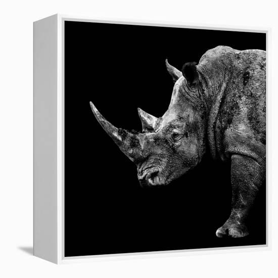 Safari Profile Collection - Rhino Black Edition II-Philippe Hugonnard-Framed Premier Image Canvas