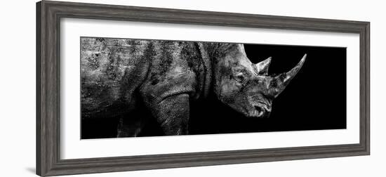 Safari Profile Collection - Rhino Black Edition III-Philippe Hugonnard-Framed Photographic Print