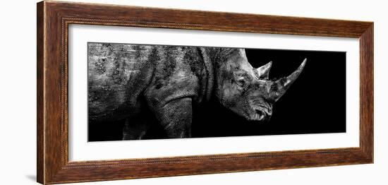 Safari Profile Collection - Rhino Black Edition III-Philippe Hugonnard-Framed Photographic Print