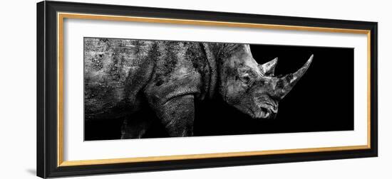 Safari Profile Collection - Rhino Black Edition III-Philippe Hugonnard-Framed Photographic Print