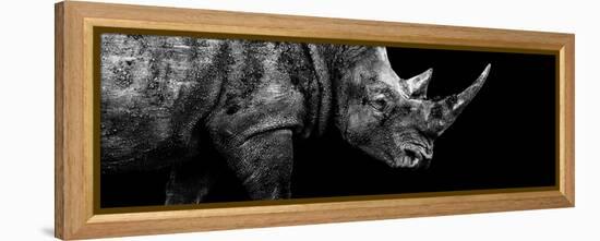 Safari Profile Collection - Rhino Black Edition III-Philippe Hugonnard-Framed Premier Image Canvas