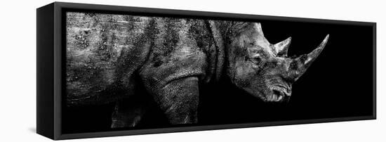 Safari Profile Collection - Rhino Black Edition III-Philippe Hugonnard-Framed Premier Image Canvas