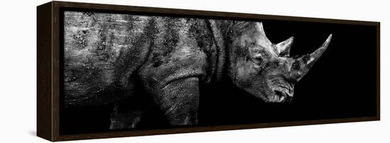 Safari Profile Collection - Rhino Black Edition III-Philippe Hugonnard-Framed Premier Image Canvas